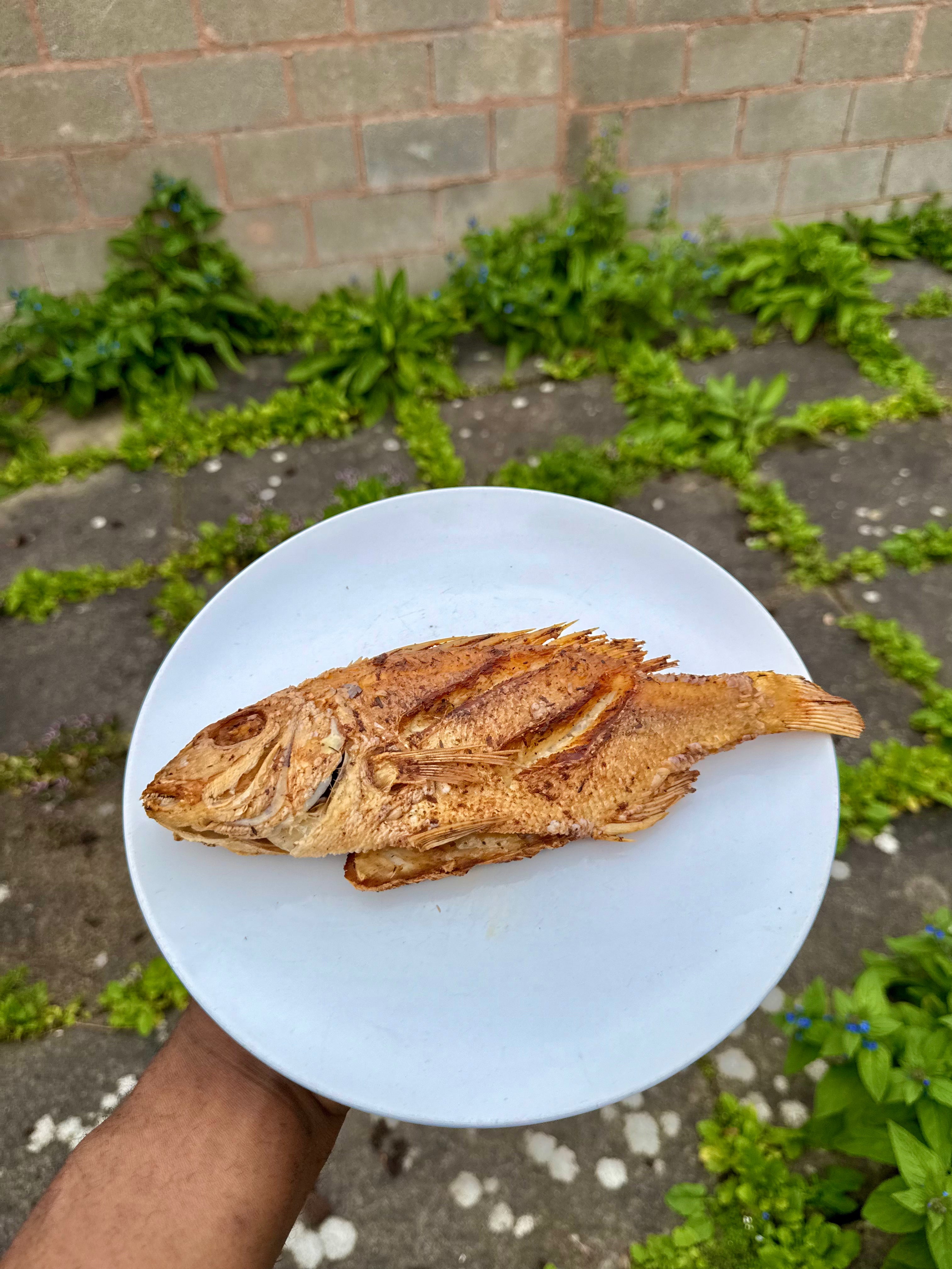 Jamaican Escovitch Fish W/Fried Bammy